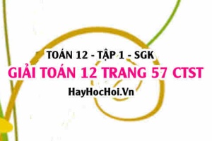 Giải Toán 12 trang 57 tập 1 Chân trời sáng tạo
